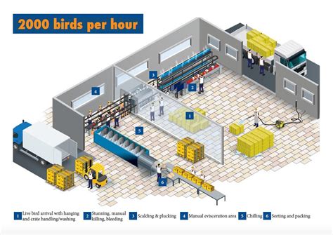 Poultry Processing Plant Design Services 